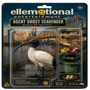 Agent Ghost Scavenger — Bin Chicken (Brisbane Episode)